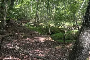 9700 S Helton Rd, Winston, GA 30187 - Photo 61