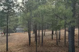 1111 Pintail Ln, Madison, GA 30650 - Photo 47