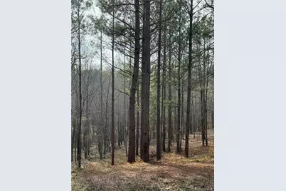 1111 Pintail Lane, Madison, GA 30650 - Photo 45