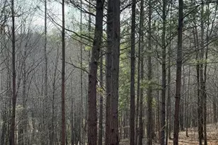 1111 Pintail Ln, Madison, GA 30650 - Photo 45