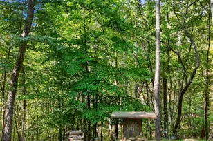 144 Monet Dr, Ellijay, GA 30540 - Photo 35