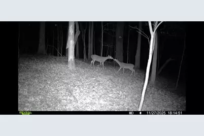 161 Meadow Lake Drive, Commerce, GA 30530 - Photo 39