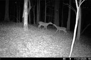 161 Meadow Lake Dr, Commerce, GA 30530 - Photo 39