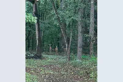 161 Meadow Lake Drive, Commerce, GA 30530 - Photo 35