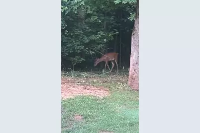 161 Meadow Lake Drive, Commerce, GA 30530 - Photo 33