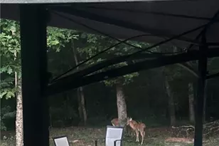 161 Meadow Lake Dr, Commerce, GA 30530 - Photo 31