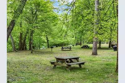 650 Myna Drive, Ellijay, GA 30540 - Photo 69