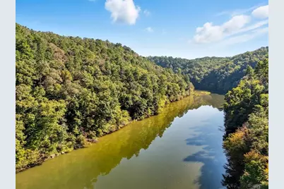 650 Myna Drive, Ellijay, GA 30540 - Photo 5