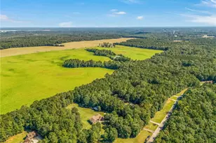 141 High Ridge Trail, Jackson, GA 30233 - Photo 35