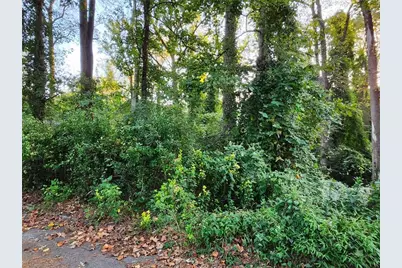 523 Spruce Drive, Pine Lake, GA 30072 - Photo 3