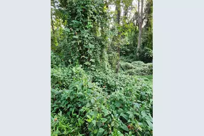 523 Spruce Drive, Pine Lake, GA 30072 - Photo 5