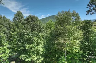 4714 Old Bucktown Rd, Ellijay, GA 30536 - Photo 57