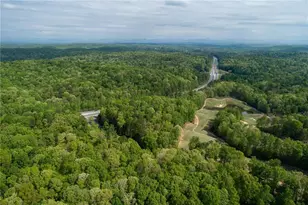 239 E Hbr Dr, Dawsonville, GA 30534 - Photo 47