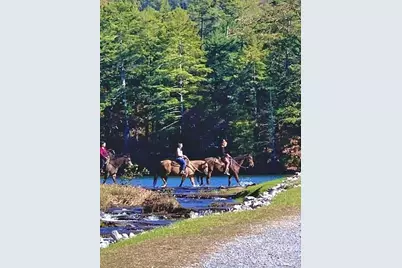 858 Crippled Oak Trail, Jasper, GA 30143 - Photo 57