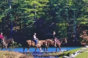 858 Crippled Oak Trail, Jasper, GA 30143 - Photo 57