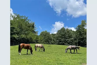 858 Crippled Oak Trail, Jasper, GA 30143 - Photo 59