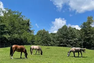 858 Crippled Oak Trail, Jasper, GA 30143 - Photo 59