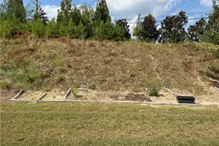 3378 Long Creek Dr, Buford, GA 30519 - Photo 47