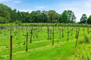 120 Crooked Lk Pk, Villa Rica, GA 30180 - Photo 65