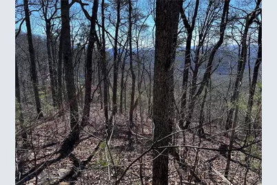 246 Andes Ridge, Ellijay, GA 30536 - Photo 37