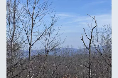 246 Andes Ridge, Ellijay, GA 30536 - Photo 25