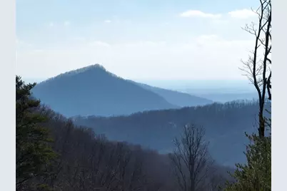 246 Andes Ridge, Ellijay, GA 30536 - Photo 3