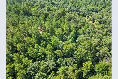 318 Jim Grizzle Road, Royston, GA 30662 - Photo 55