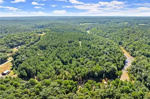 318 Jim Grizzle Rd, Royston, GA 30662 - Photo 49