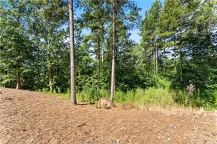 318 Jim Grizzle Rd, Royston, GA 30662 - Photo 25