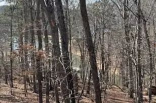 5990 Warpath Rd, Flowery Branch, GA 30542 - Photo 5