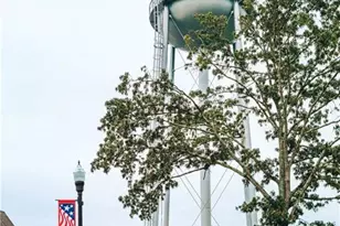 435 Winding Rose Dr, Hoschton, GA 30548 - Photo 145