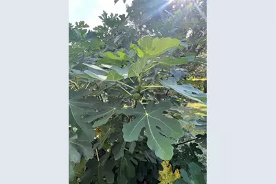 6250 Feldwood Road, Atlanta, GA 30349 - Photo 39