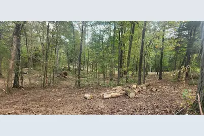 252 Beatrice Court, Ranger, GA 30734 - Photo 3