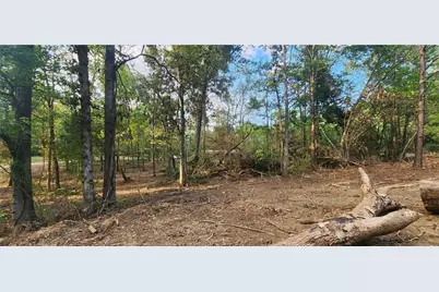 252 Beatrice Court, Ranger, GA 30734 - Photo 9