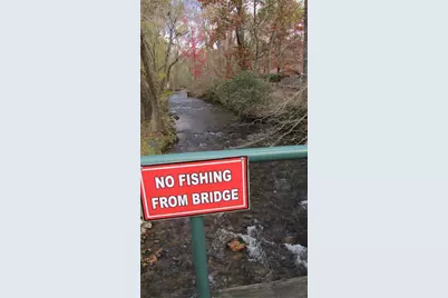 436 Hidden Valley Road, Cleveland, GA 30528 - Photo 63