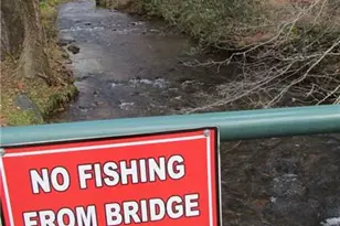 436 Hidden Valley Rd, Cleveland, GA 30528 - Photo 63