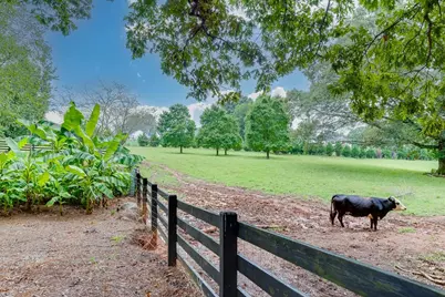 986 Austin Road, Winder, GA 30680 - Photo 91