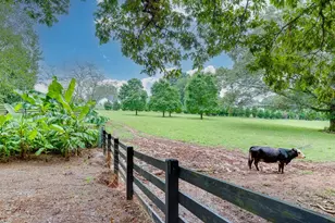 986 Austin Rd, Winder, GA 30680 - Photo 91