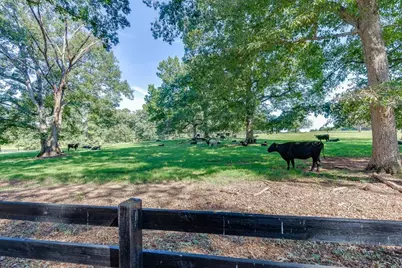 986 Austin Road, Winder, GA 30680 - Photo 123