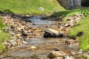 280 Star Creek Crossing, Morganton, GA 30560 - Photo 11