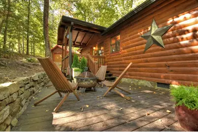 9 Joanna Court, Blue Ridge, GA 30522 - Photo 9