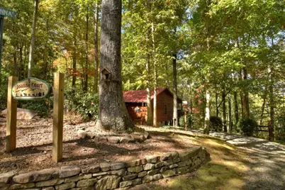 9 Joanna Court, Blue Ridge, GA 30522 - Photo 3