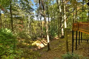 9 Joanna Court, Blue Ridge, GA 30522 - Photo 29