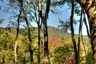 9 Joanna Court, Blue Ridge, GA 30522 - Photo 33