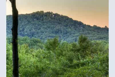 9 Joanna Court, Blue Ridge, GA 30522 - Photo 5