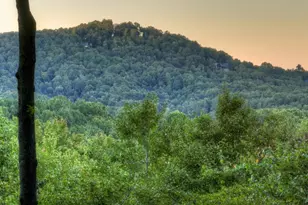 9 Joanna Court, Blue Ridge, GA 30522 - Photo 5