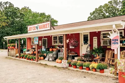 5247 Baymont Drive, Gainesville, GA 30507 - Photo 87