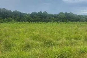 729 Taylor Town Rd NE, Ranger, GA 30734 - Photo 1