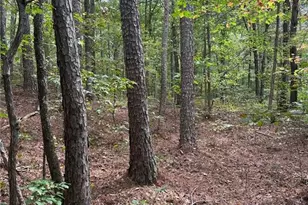 3842 Salacoa-Tract A, Waleska, GA 30183 - Photo 1