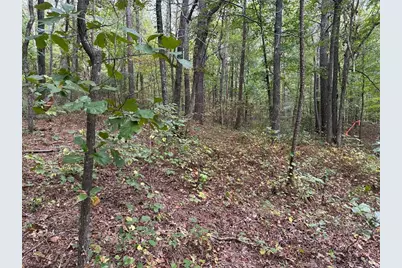 3842 Salacoa-Tract A, Waleska, GA 30183 - Photo 5